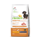 NT Sens. No Gluten Adult Small Pork 2kg – със свинско